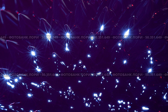 night blue extreme close up ferromagnetic metal. Стоковое фото, агентство Ingram Publishing / Фотобанк Лори