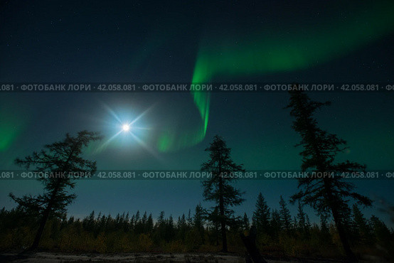 Northern lights reflected in the water. Стоковое фото, фотограф Данил Хусаинов / Фотобанк Лори