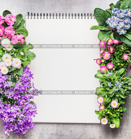 Notebook with garden flowers in pots on stone background, top view. Gardening frame. Стоковое фото, агентство Ingram Publishing / Фотобанк Лори