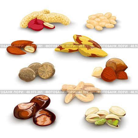 Nuts decorative icons set with peanut almond chestnut pistachio isolated vector illustration. Стоковая иллюстрация, агентство Ingram Publishing / Фотобанк Лори
