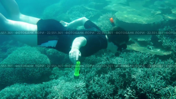 Ныряльщик под водой. Стоковое видео, видеограф Андрей Армягов / Фотобанк Лори
