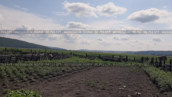 Облака над огородом. Стоковое видео, видеограф Вероника Беккер / Фотобанк Лори