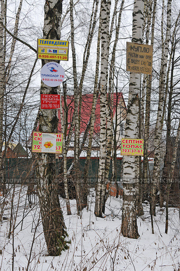 Объявления и реклама на деревьях (2013 год). Редакционное фото, фотограф Юрий Морозов / Фотобанк Лори