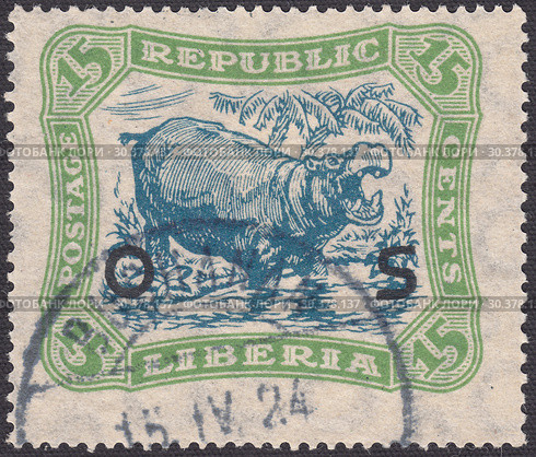 Обыкновенный бегемот (Hippopotamus amphibius), надпечатка OS. Почтовая марка Либерии 1923 года. Редакционная иллюстрация, иллюстратор александр афанасьев / Фотобанк Лори