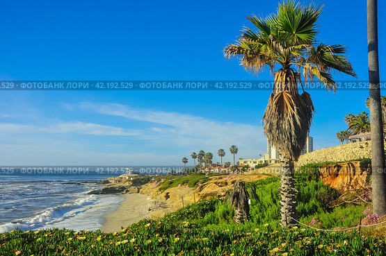 Ocean with coastline, beach and palm trees (2020 год). Стоковое фото, фотограф Evgenii Predibailo / Фотобанк Лори