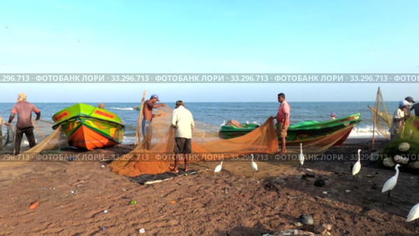 Очистка сетей после ночного лова. Негомбо, Шри-Ланка (2020 год). Редакционное видео, видеограф Виктор Карасев / Фотобанк Лори