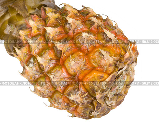 Один целый ананас на белом фоне. One whole pineapple on a white background. Стоковое фото, фотограф Татьяна Д / Фотобанк Лори