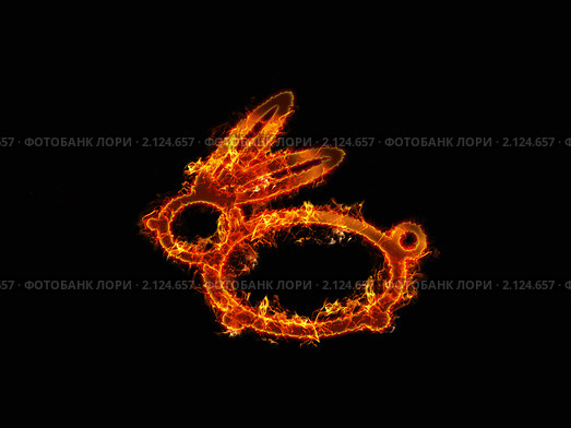 Огненный заяц 2011. Стоковая иллюстрация, иллюстратор Базыльчик Светлана / Фотобанк Лори