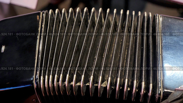 Old musical instrument Russian bayan - button accordion close-up. Стоковое фото, фотограф David Kashakhi / Фотобанк Лори