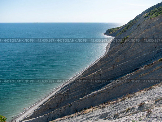 Olive tree branches with sea in the background. Стоковое фото, фотограф Фотограф / Фотобанк Лори