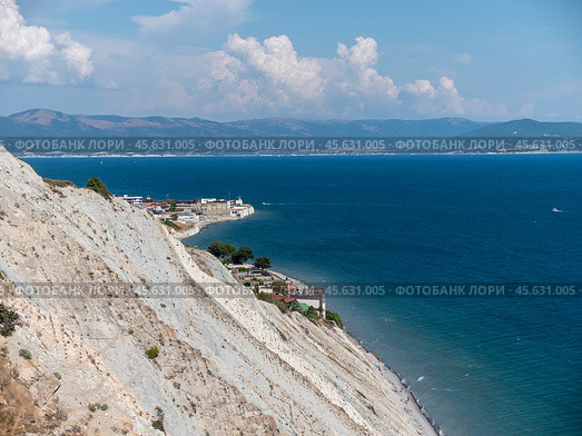 Olive tree branches with sea in the background. Стоковое фото, фотограф Фотограф / Фотобанк Лори