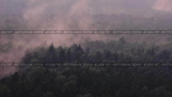 Ominous mystical fog over the forest, halloween background. Evaporation of moisture over the tops of trees after rain, timelapse. Стоковое видео, видеограф Андрей Журавлев / Фотобанк Лори