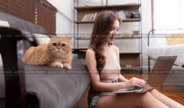 On the sofa is an intelligent Persian cat. Staring at show on the computer screen opened by the owner while working in the living room at home. Стоковое фото, агентство Ingram Publishing / Фотобанк Лори