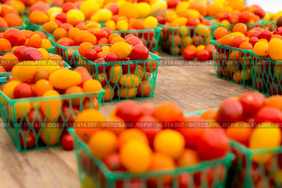 Organic tomatoes from a local market. Стоковое фото, агентство Ingram Publishing / Фотобанк Лори