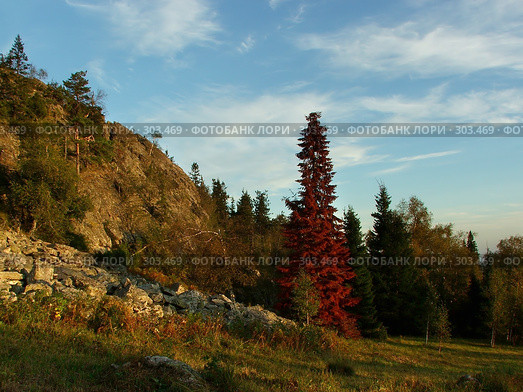 Осень на отрогах Уральских гор (2007 год). Редакционное фото, фотограф Sergey Toronto / Фотобанк Лори