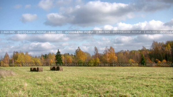 Осенний пейзаж. Стоковое видео, видеограф Андрей Ежов / Фотобанк Лори