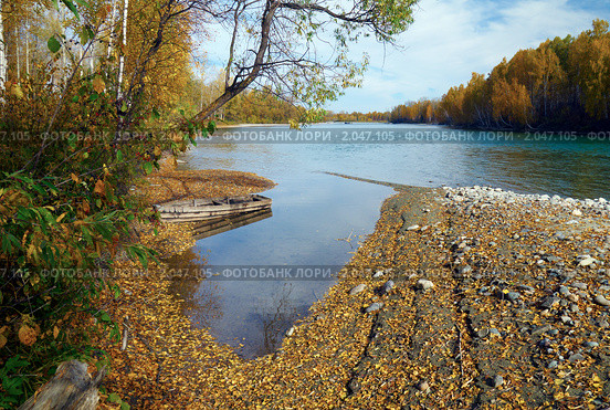 Осенний пейзаж с лодкой. Стоковое фото, фотограф Дмитрий Ощепков / Фотобанк Лори