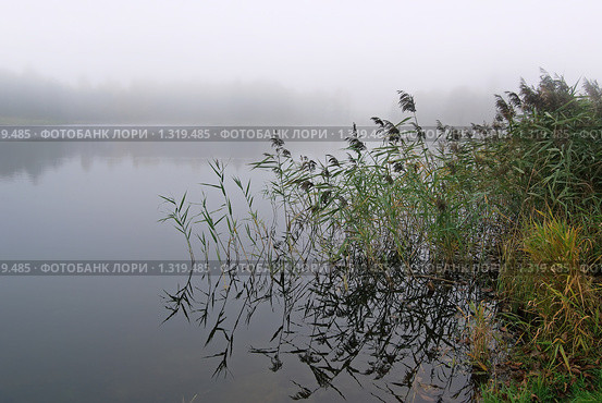 Осенний пейзаж. Туман над озером. Стоковое фото, фотограф Икан Леонид / Фотобанк Лори