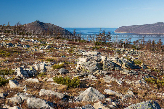 Осенний пейзаж. Вид со скалистого склона сопки на морскую бухту и горы. Природа Сибири и Дальнего Востока России. Путешествие по Магаданской области. Бухта Нагаева, Охотское море, Россия. Стоковое фото, фотограф Андрей Степанов / Фотобанк Лори