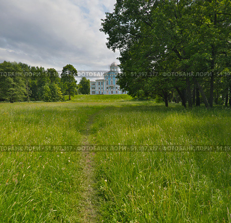 Особняк Воронцова (усадьба Новознаменка, Санкт-Петербург), сине-белый дворец в стиле барокко работы Трезини и Ринальди, летний вид с зелёным лугом. Стоковое фото, фотограф Елена  Попкова / Фотобанк Лори