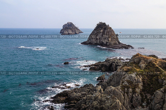 Острова Орюкдо в Пусане, Южная Корея (2019 год). Стоковое фото, фотограф Римма Тельнова / Фотобанк Лори