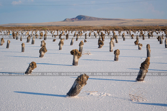 Озеро Баскунчак (2013 год). Редакционное фото, фотограф Алексей Шлыков / Фотобанк Лори