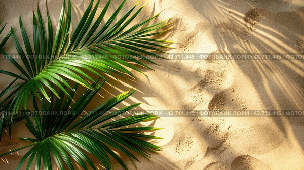 Palm tree leaf shadow on sand background, Natural shadow from coconut palm leaves on beach sand. top view, copy space. Idea for summer vacation concept. Top view, copy space. Стоковое AI-изображение, AI-художник Ирина Михайличенко / Фотобанк Лори