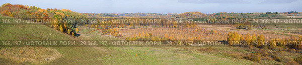 Панорама Изборско-Мальской долины золотой осенью. Псковская область, Россия (2018 год). Редакционное фото, фотограф Виктор Карасев / Фотобанк Лори