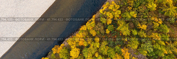 Панорамный осенний аэрофотоснимок реки. Вид сверху на русло реки. Лиственничный лес на берегу реки. Верхушки деревьев. Красивая северная природа. Осенний сезон. Природный фон для дизайна. Стоковое фото, фотограф Андрей Степанов / Фотобанк Лори