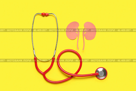 Paper kidneys with stethoscope on yellow background. Стоковое фото, фотограф Pixel_shot / Фотобанк Лори