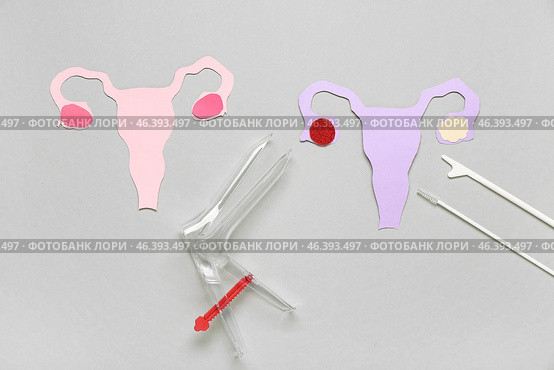 Paper uteruses with gynecological speculum and pap smear test tools on grey background. Стоковое фото, фотограф Pixel_shot / Фотобанк Лори