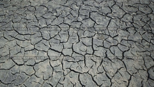 Parched ground revealing deep fissures, signaling severe drought conditions and environmental crisis in crimean landscape. Стоковое видео, видеограф Mikhail Davidovich / Фотобанк Лори