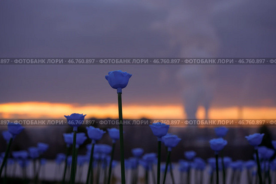 Парк Галицкого. Стоковое фото, фотограф Елена Букия / Фотобанк Лори