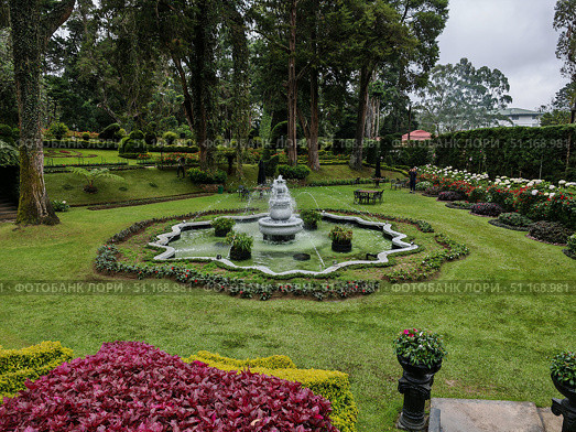 Парк, окружающий гостиницу Grand Hotel Nuwara (Шри-Ланка) Редакционное фото, фотограф Максим Гулячик / Фотобанк Лори