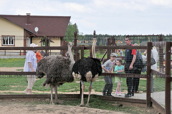 Парк птиц "Воробьи" (2010 год). Редакционное фото, фотограф stargal / Фотобанк Лори