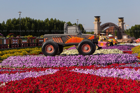 Парк цветов в Дубае (Dubai Miracle Garden). Объединённые Арабские Эмираты (2014 год). Редакционное фото, фотограф Сергей Афанасьев / Фотобанк Лори