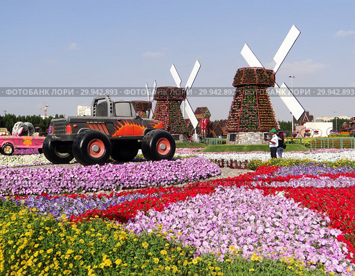Парк цветов в Дубае (Dubai Miracle Garden). Объединённые Арабские Эмираты (2014 год). Редакционное фото, фотограф Сергей Афанасьев / Фотобанк Лори