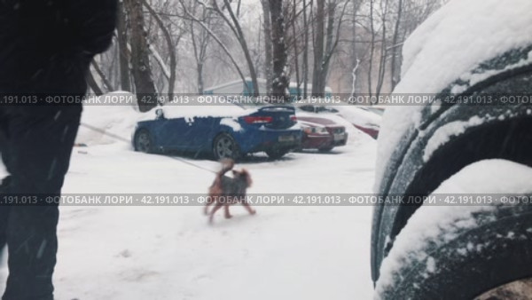 Parking in a Moscow residential area during a severe snowstorm. TRussia. Moscow. 16.02.2024. Редакционное видео, видеограф Ярославский Максим / Фотобанк Лори
