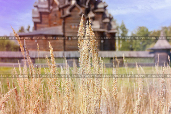 Парковый комплекс "Усадьба Богословка" (2023 год). Редакционное фото, фотограф Светлана Качанова / Фотобанк Лори