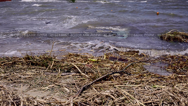 Part of wall of house floats near shore, floating debris has reached Black Sea beaches in Odessa, Ukraine. Environmental disaster caused by explosion of Kakhovka Hydroelectric Power Plant dam, closeup. Стоковое фото, фотограф Некрасов Андрей / Фотобанк Лори