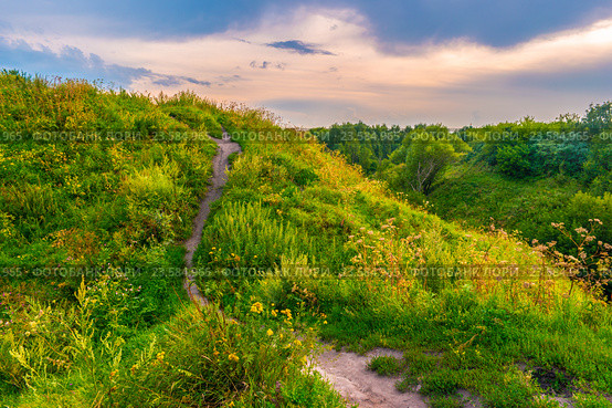 Pathway on a hill with wildflowers. Стоковое фото, фотограф Роман Гадицкий / Фотобанк Лори