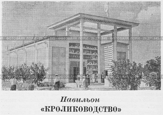 Павильон "Кролиководство". Всесоюзная сельскохозяйственная выставка в Москве. 1939 год. Стоковая иллюстрация, иллюстратор Макаров Алексей / Фотобанк Лори