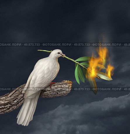 Peace crisis concept with a white dove standing on a tree holding an olive branch on fire as a symbol of the challenges of war fighting and revolution and the elusive search for a truce or agreement in the middle East or other countries in conflict. Стоковое фото, агентство Ingram Publishing / Фотобанк Лори