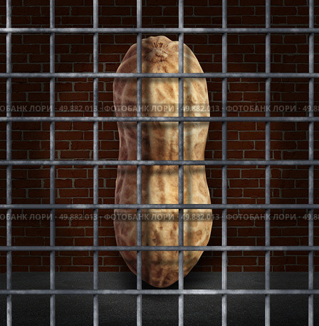 Peanut allergy and no peanuts allowed concept with the prohibited snack behind bars as a symbol of allergic reaction and baned ingredients causing food allergies. Стоковое фото, агентство Ingram Publishing / Фотобанк Лори