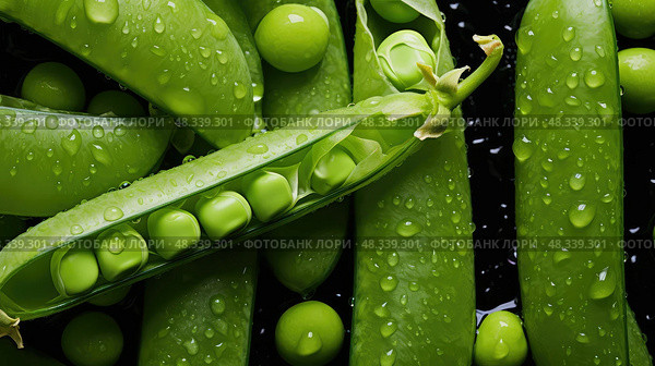 peas spring fruits and vegetables ai generated. Стоковое AI-изображение, AI-художник Vectorwin / Фотобанк Лори