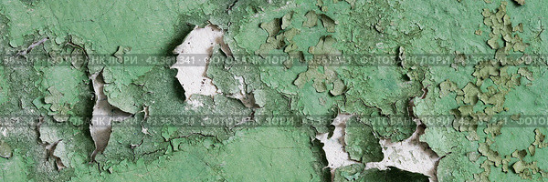 Peeling paint on the wall. Panorama of a concrete wall with old cracked flaking paint. Weathered rough painted surface with patterns of cracks and peeling. Grunge texture for wide panoramic background. Стоковое фото, фотограф Андрей Степанов / Фотобанк Лори