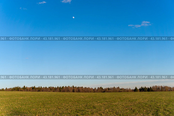 Пейзаж поля перед закатом с луной на небосводе русское поле (Landscape of a field before sunset with the moon in the sky) Стоковое фото, фотограф Пучков Андрей Александрович / Фотобанк Лори