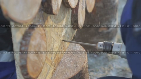 People screw screws into a stump and a wooden panel  люди вкручивают шурупы в пень и деревянную панель. Стоковое видео, видеограф Опока Алексей / Фотобанк Лори