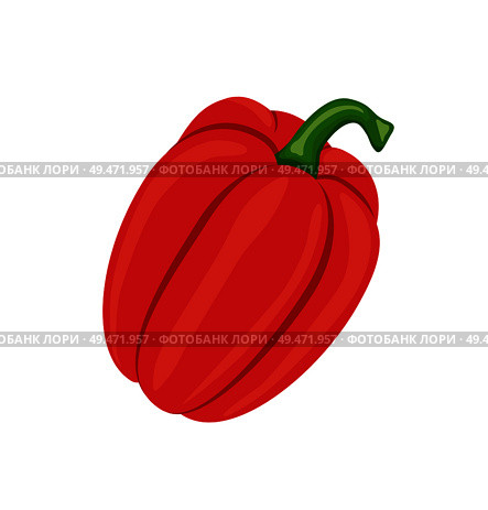 Pepper fresh homegrown veggie vector. Isolated icon closeup of red vegetable sweet paprika, cookery ingredient of summer salads and dishes. Nutritious food. Pepper Fresh Homegrown Veggie Vector Illustration. Стоковая иллюстрация, агентство Ingram Publishing / Фотобанк Лори