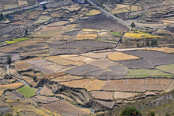peru - colca canyon, canyon of the colca river in southern peru.Peru, Colca Valley, Terrace Cultivation. Стоковое фото, агентство BE&W Photo / Фотобанк Лори
